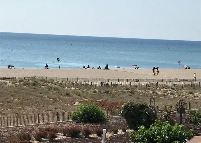 Apartamento T2 - 4 Pers, à 150m, Wifi, Parking Privé, Terrasse, Plancha - Fr-1-81-258 Le Barcarès